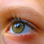 eye